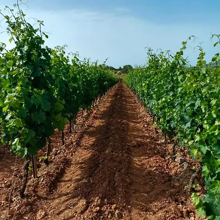 Pensión Cantina Marongiu Villaputzu